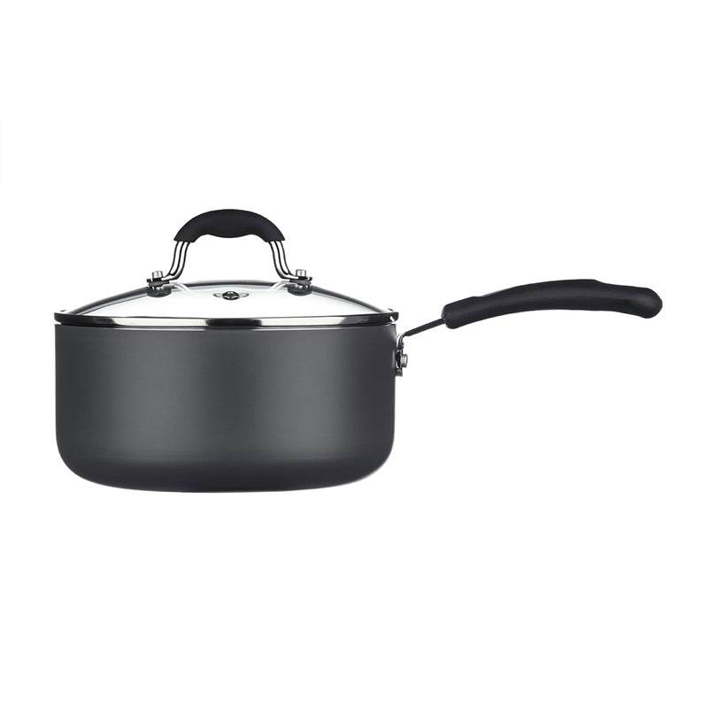 Sorted Saucepan with Gass Lid - 20 cm - Premier Home