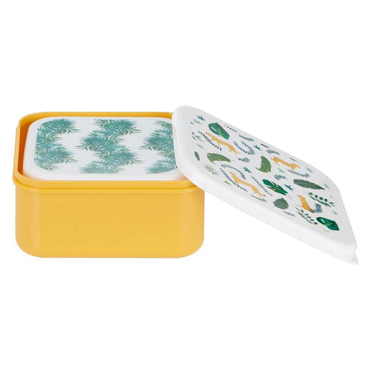 Mimo Set Of 4 Winter Palm Lunch Boxes - Premier Home