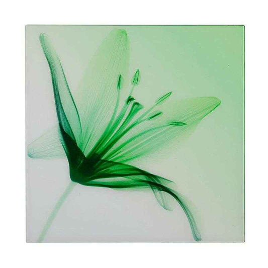 Green Stargazer Glass Print