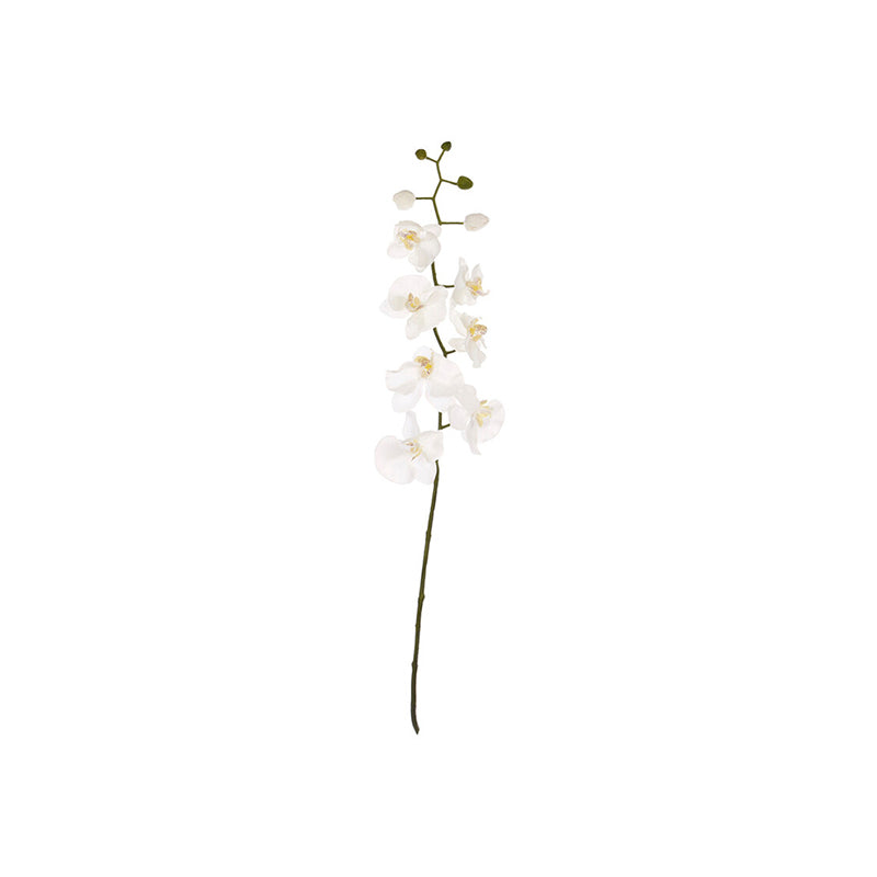 Fiori Artificial flowers Cream Orchid Stem