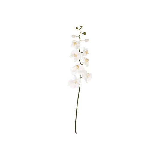 Fiori Artificial flowers Cream Orchid Stem - Premier Home