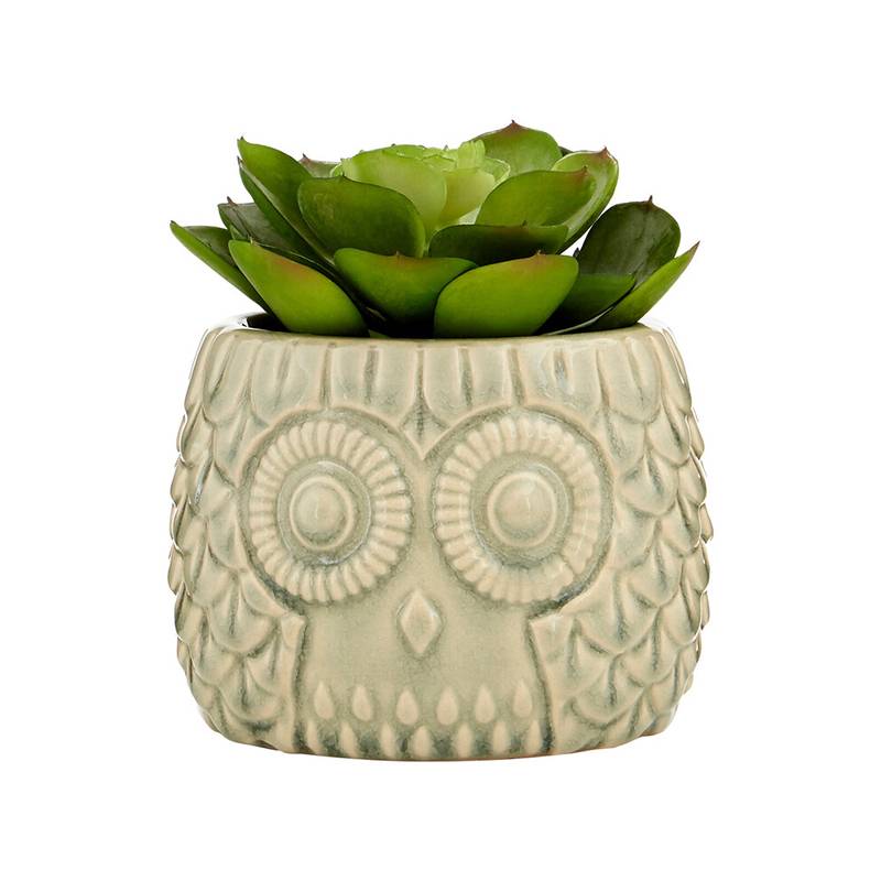 Fiori Large Succulent in Grey Ceramic Owl Pot