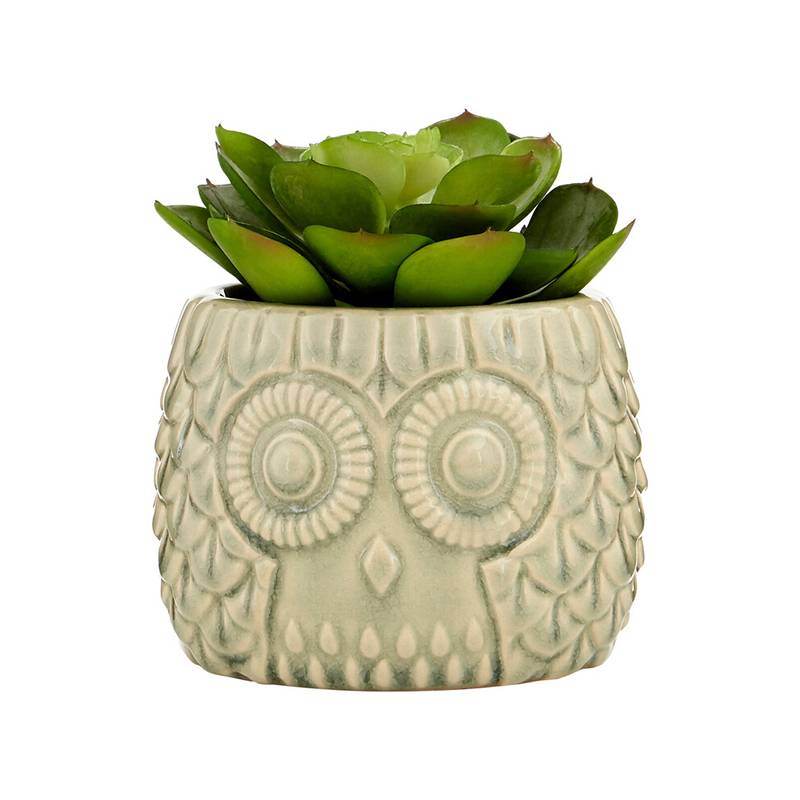 Fiori Large Succulent in Grey Ceramic Owl Pot - Premier Home