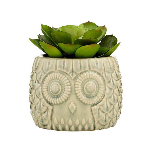 Fiori Large Succulent in Grey Ceramic Owl Pot - Premier Home