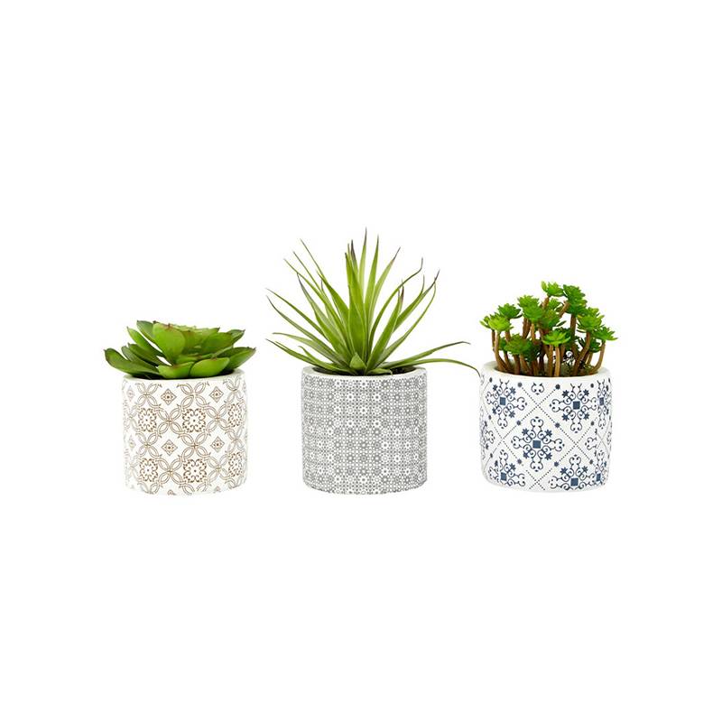 Fiori Set of 3 Succulents in Henna Ceramic Pots