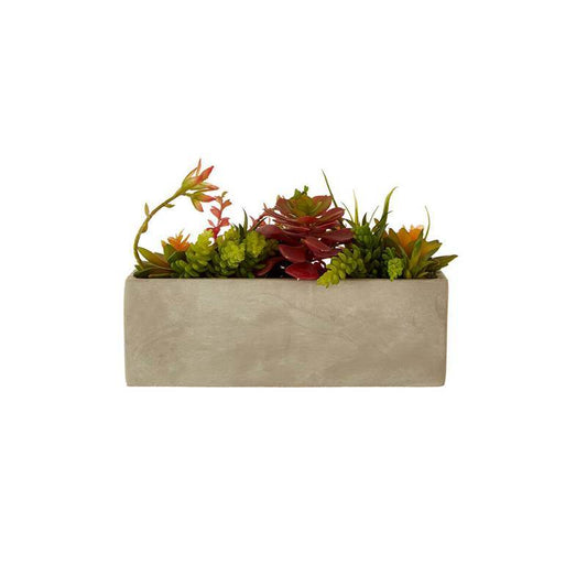 Fiori Mixed Succulents with Cement Pot - Premier Home