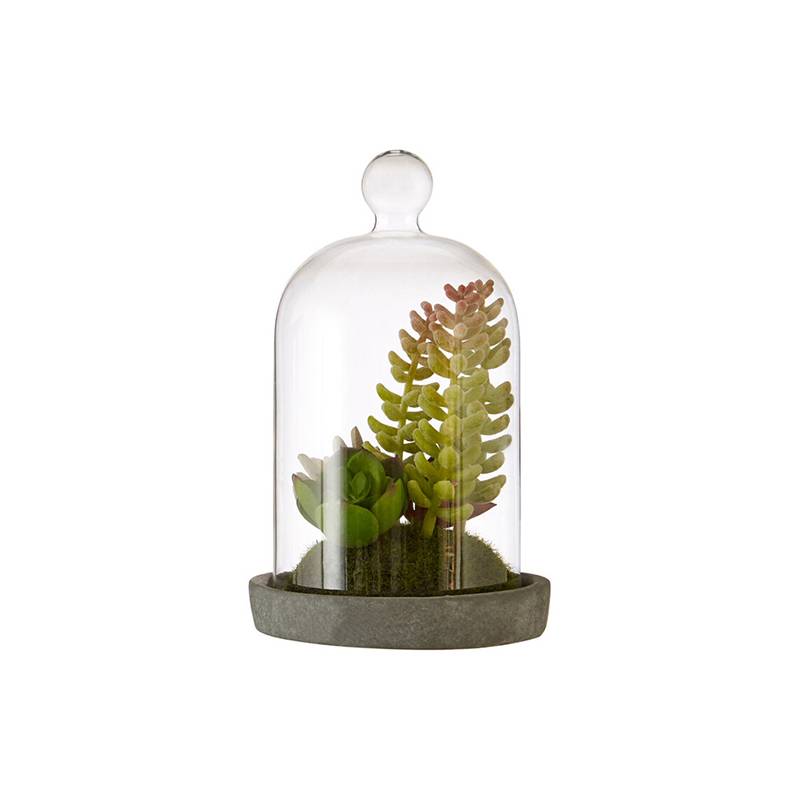 Fiori Small Succulent Dome with Cement Base