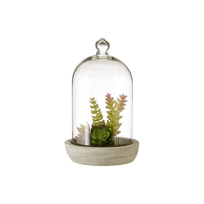 Fiori Large Succulent Dome Cement Base