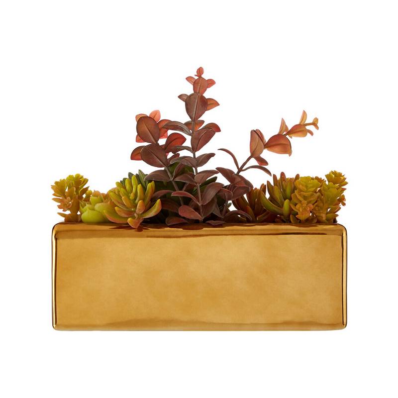 Mixed Succulents Fiori with Ceramic Gold Pot