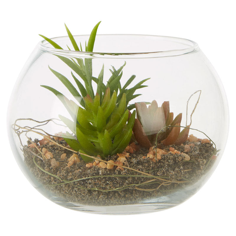 Fiori Small Glass Pot Mixed Succulent