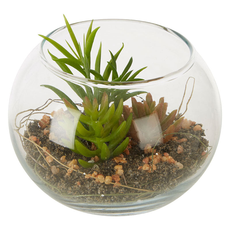 Fiori Small Glass Pot Mixed Succulent