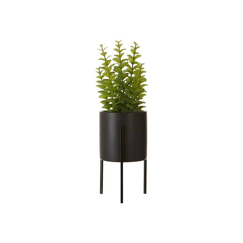 Fiori Thyme - Premier Home