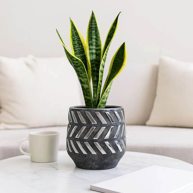 Helaine Small Planter - Premier Home