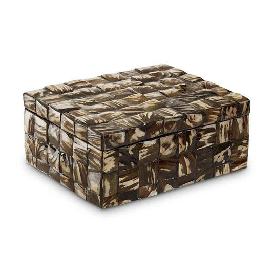 Branna Large Natural Shell Detail Box - Premier Home