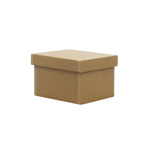 Tan Dvd Storage Box - Premier Home
