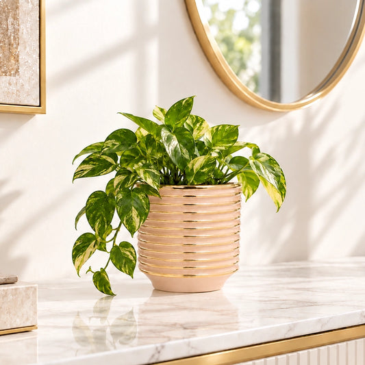 Small ribbed ceramic planter in a warm peach tone holding a trailing green pothos on a white marble surface