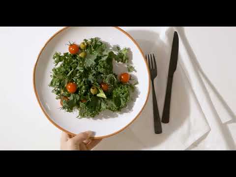 White Glazed Terracotta Calisto Dinner Plate