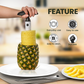 Pineapple Cutter