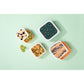 Mimo Set Of 4 Animal Print Lunch Boxes