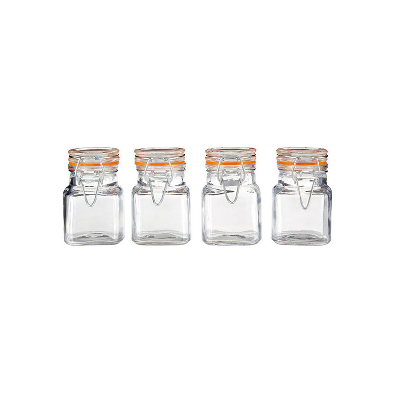 Luca Set of 4 Luca Clip Top Lid Glass Jars