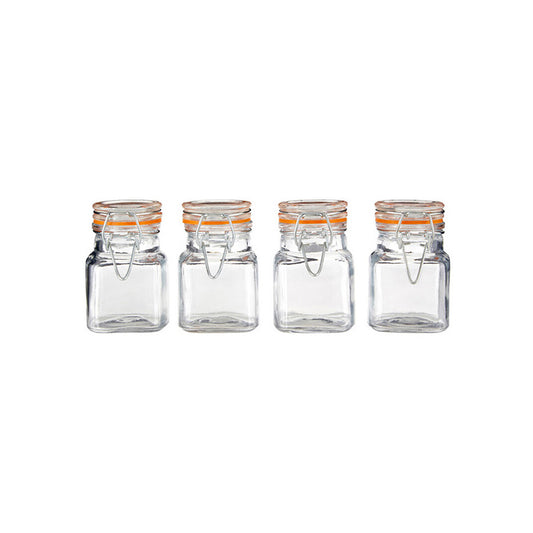 Luca Set of 4 Luca Clip Top Lid Glass Jars
