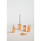 Shine Toilet Brush & Holder