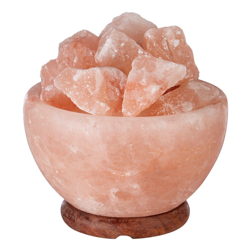 Nepal Bowl Salt Lamp