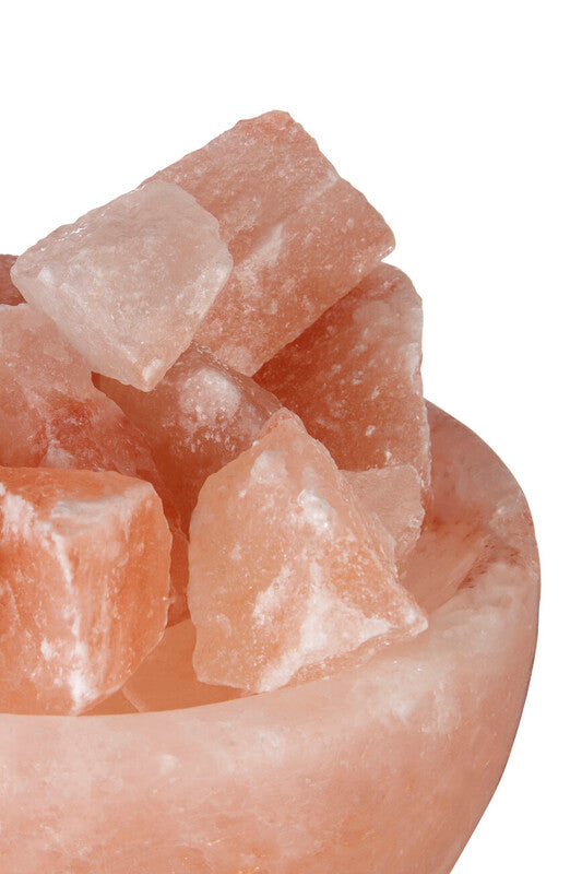 Nepal Bowl Salt Lamp