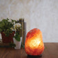 Nepal Small Natural Salt Lamp