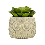 Pots & Planters