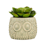 Fiori Large Succulent in Grey Ceramic Owl Pot - Premier Home
