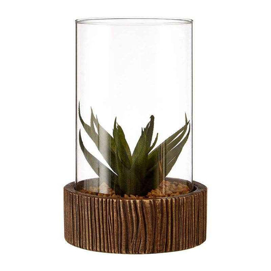 Fiori Large Succulent with Natural Stone Base