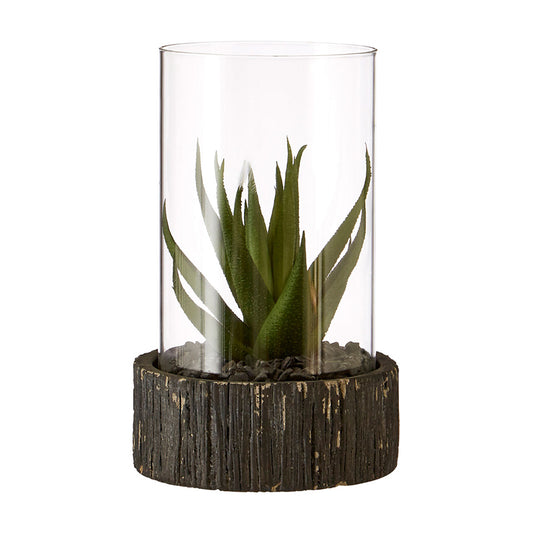 Fiori Small Succulent with Black Stone Base