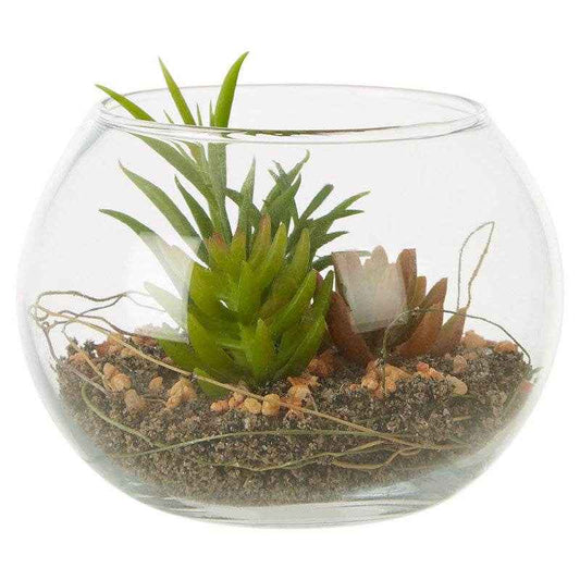 Fiori Small Glass Pot Mixed Succulent