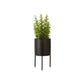 Fiori Thyme - Premier Home
