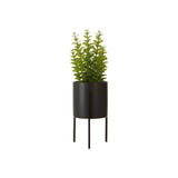 Fiori Thyme - Premier Home