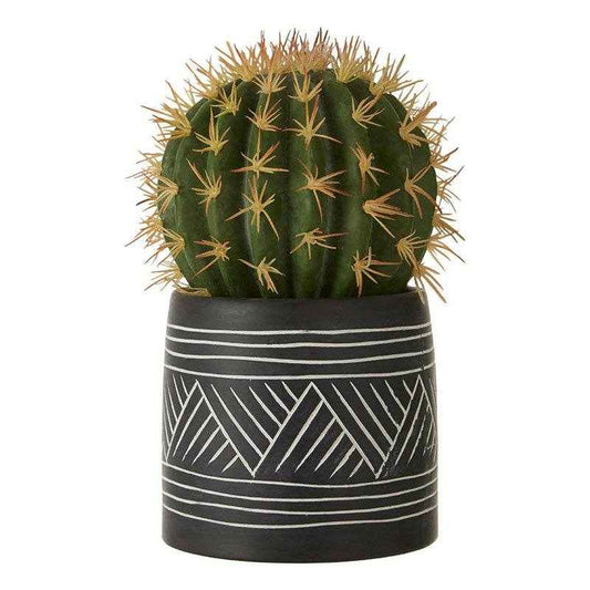 Fiori Cactus Succulent