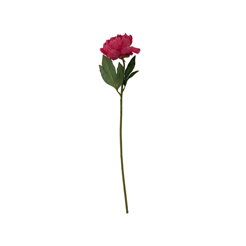 Fiori Artificial flowers 65cm Peony Stem Fuchsia Flower