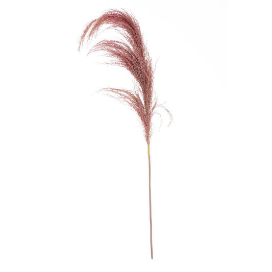 Fiori Pink Stem Pampas Grass - Premier Home