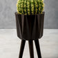 Darnell Small Black Multifaceted Planter