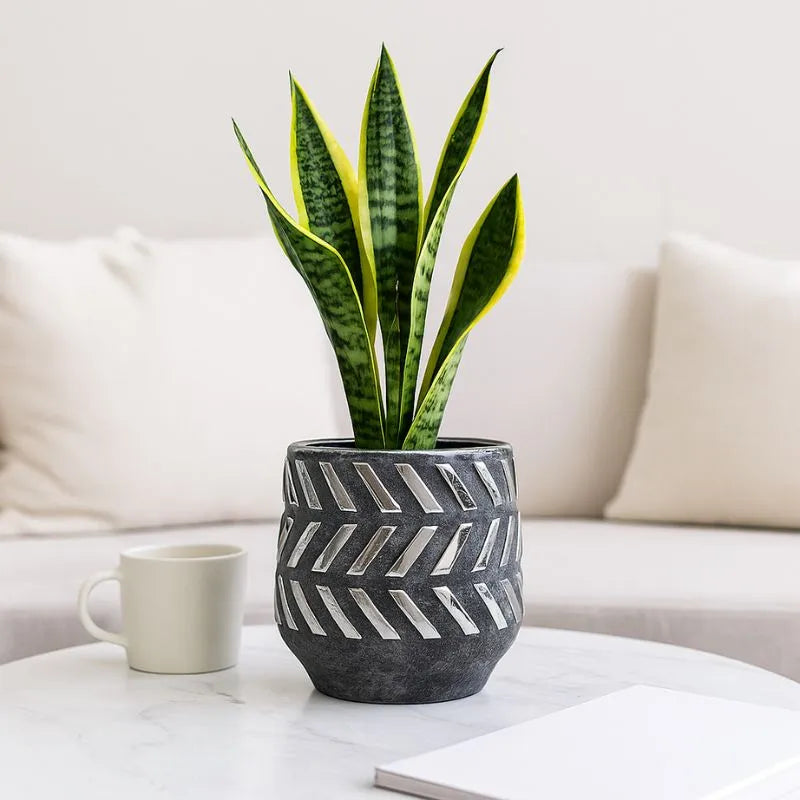 Helaine Small Planter