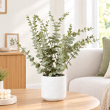 Artificial eucalyptus plant in a round white pot on a wooden surface in a neutral bright room