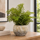 Artificial fern plant in a textured cement pot placed in a warm cosy indoor setting