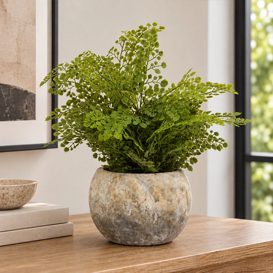 Artificial fern plant in a textured cement pot placed in a warm cosy indoor setting
