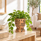 Decorative brown textured planter holding a green plant on a warm wooden indoor surface