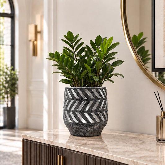 Large black ceramic planter with chevron pattern holding a tall green indoor plant