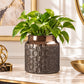 Large ornate ceramic flower pot with carved detailing holding a lush leafy indoor plant