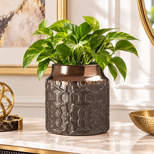 Large ornate ceramic flower pot with carved detailing holding a lush leafy indoor plant
