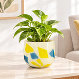 Multicolour geometric glass flower pot with blue and yellow pattern holding a green plant