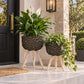 Set of two black indoor planters with lush green plants styled in a bright modern living room